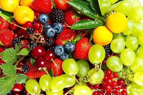 网红水果爆料视频大全下载,揭秘热门水果视频大全下载攻略